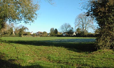 More Green Belt Homes