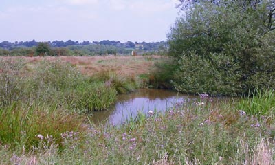 Blue Belt Land