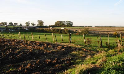 Farmland