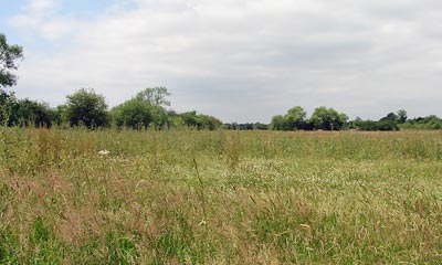 land site